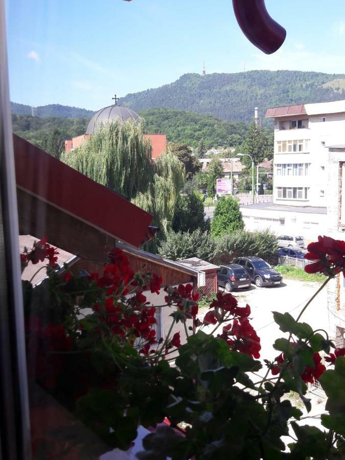 Ferienwohnung Felicita Brașov Exterior foto